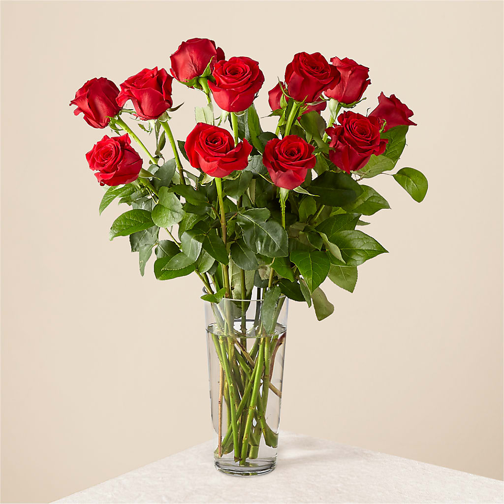 Long Stem Red Rose Bouquet – Waynesboro Emporium, Waynesboro GA
