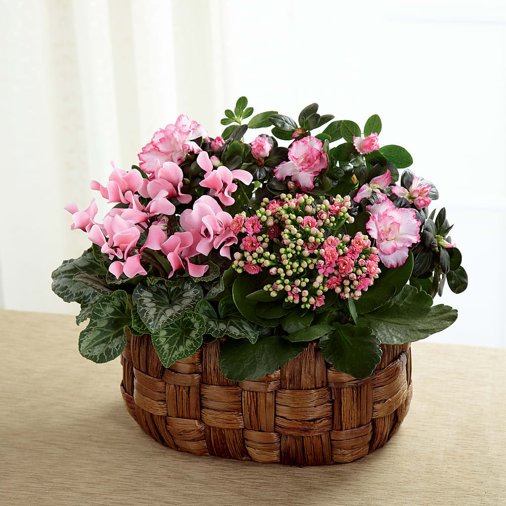 Pink Assortment – Waynesboro Emporium, Waynesboro GA