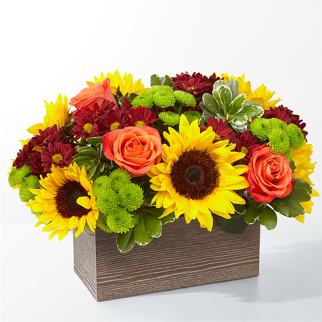 Happy Harvest Garden – Waynesboro Emporium, Waynesboro GA