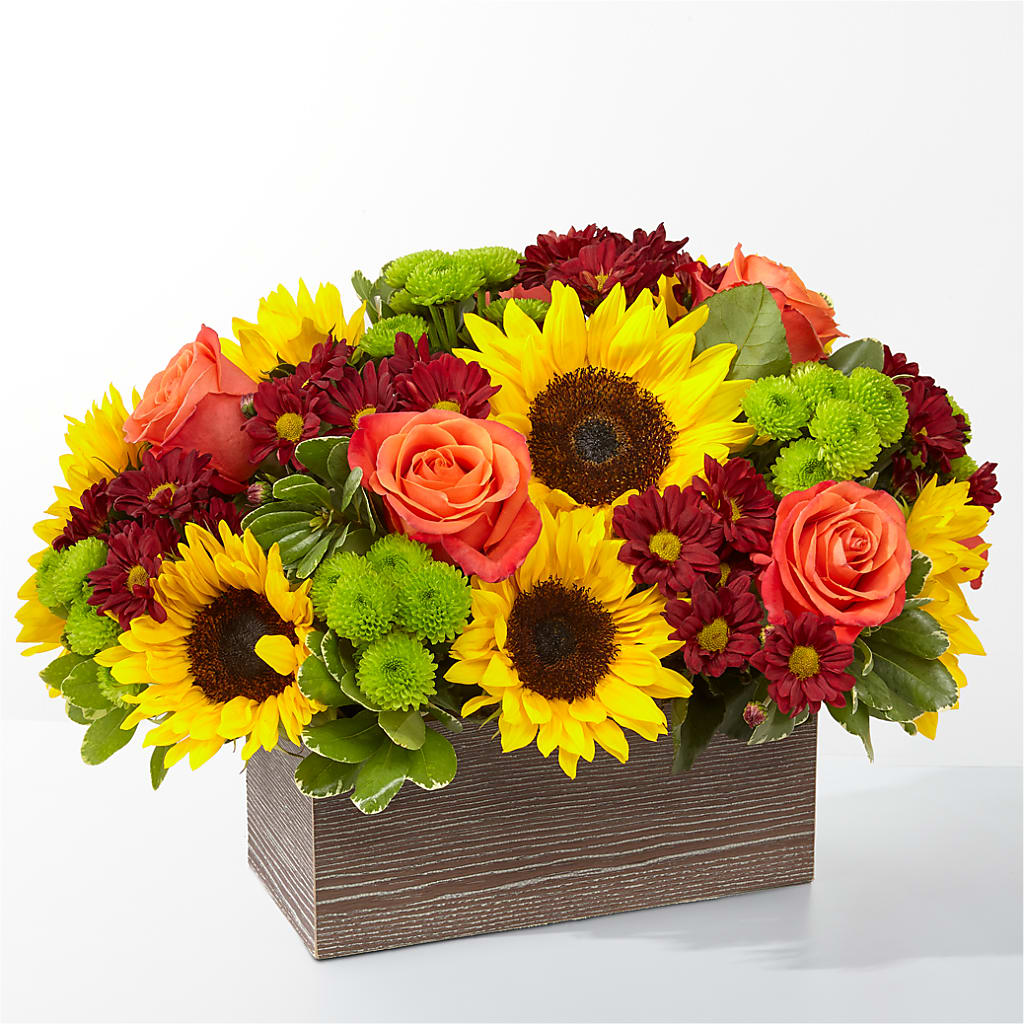 Happy Harvest Garden – Waynesboro Emporium, Waynesboro GA