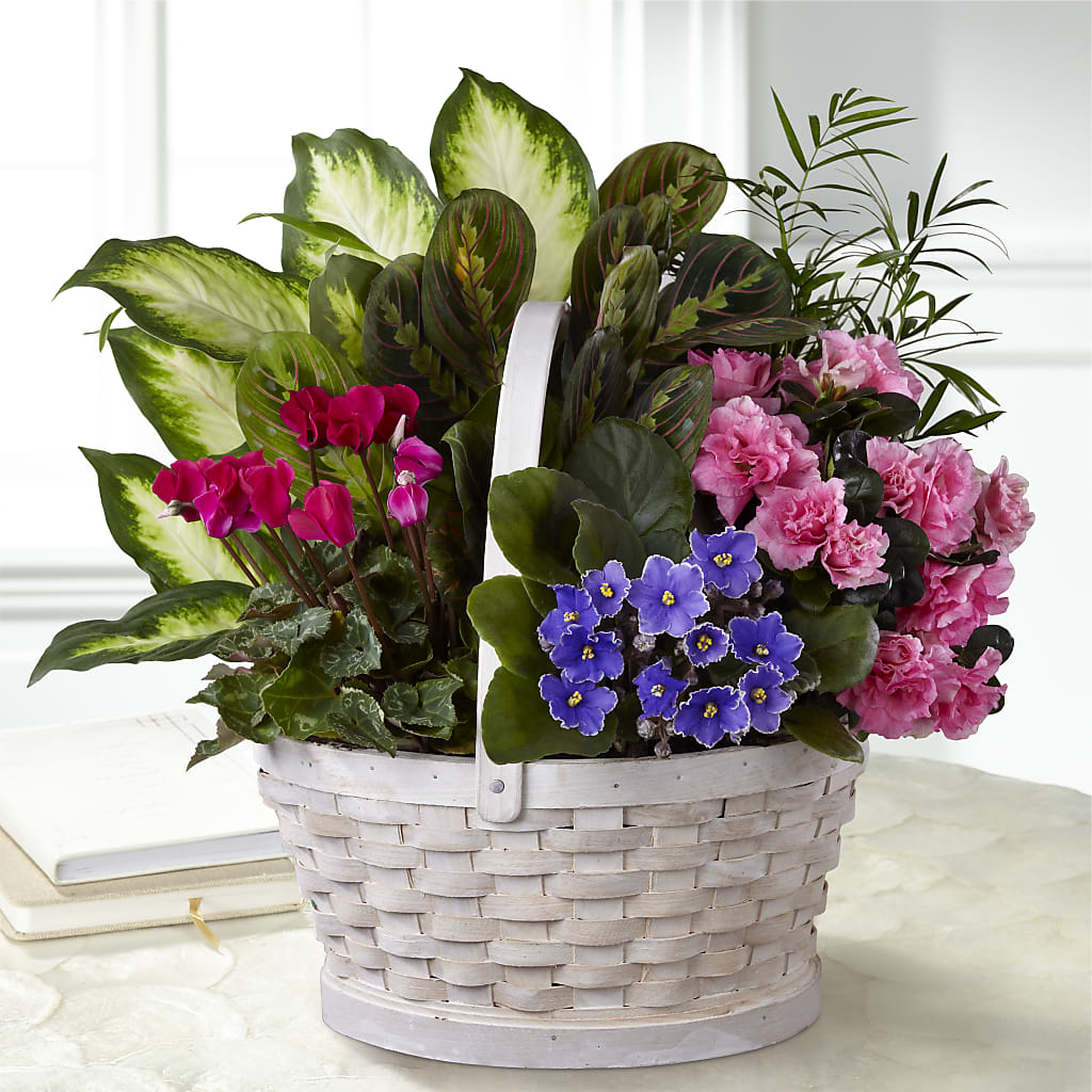 Peaceful Garden Planter – Waynesboro Emporium, Waynesboro GA
