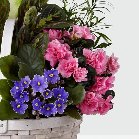 Peaceful Garden Planter – Waynesboro Emporium, Waynesboro GA