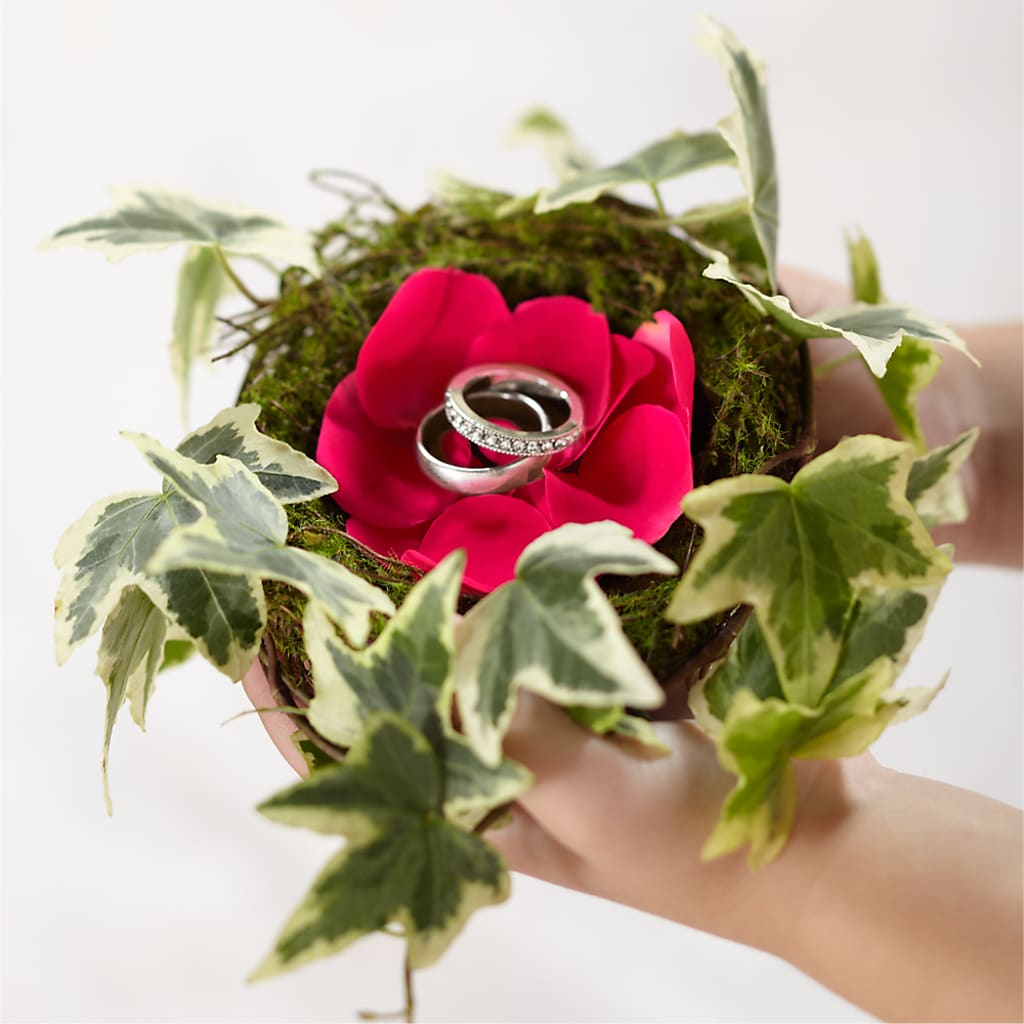 Lila Rose Ring Nest – Waynesboro Emporium, Waynesboro GA