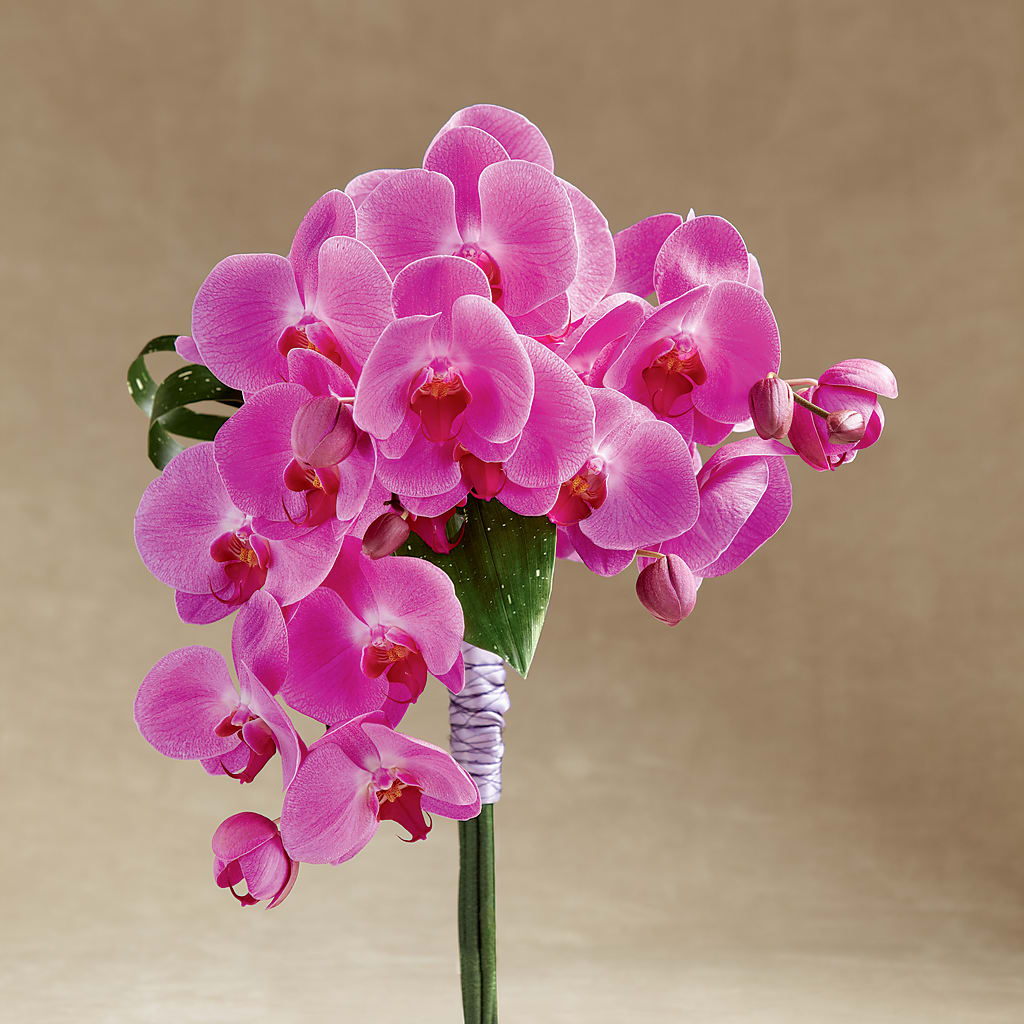 Glorious Bouquet – Waynesboro Emporium, Waynesboro GA