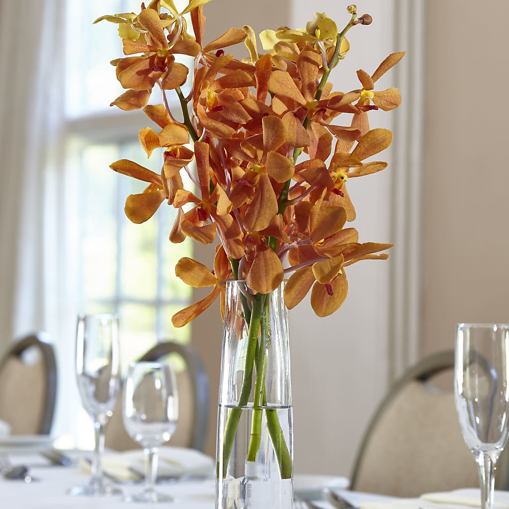 Orange Mokara Bud Vase – Waynesboro Emporium, Waynesboro GA