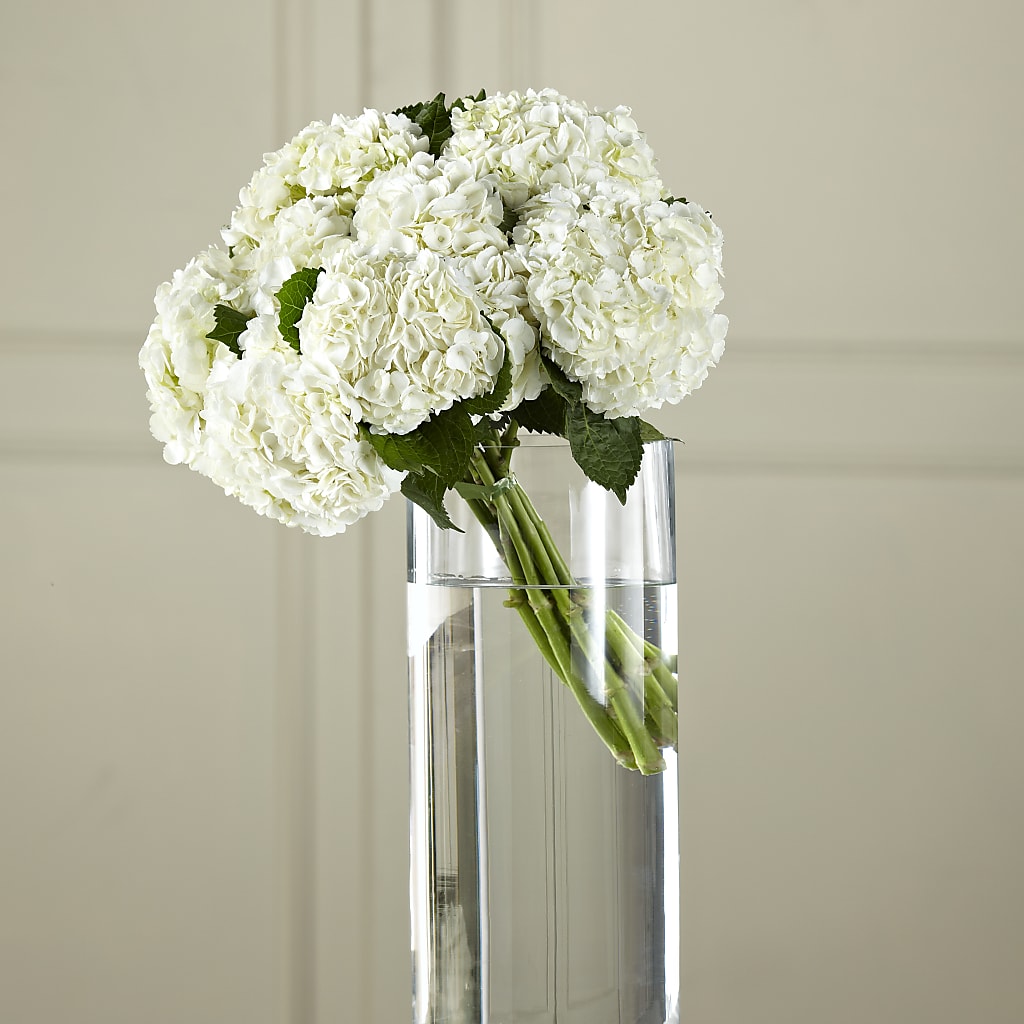 White Hydrangea Hand-Tied Bouquet – Waynesboro Emporium, Waynesboro GA