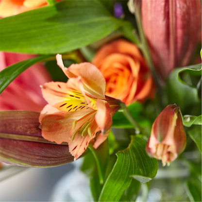 Bold & Bright – A Florist Original –  Waynesboro Emporium, Waynesboro GA