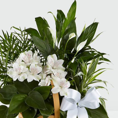 Peace & Serenity Dishgarden –  Waynesboro Emporium, Waynesboro GA