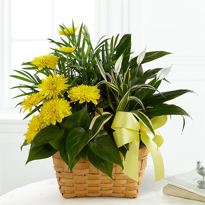 Loving Light Dishgarden –  Waynesboro Emporium, Waynesboro GA
