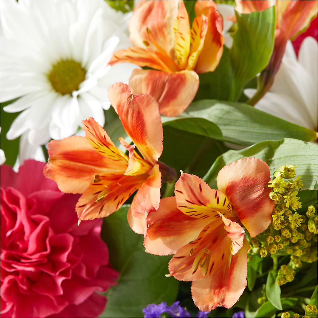 Oopsie Daisy Box Bouquet –  Waynesboro Emporium, Waynesboro GA