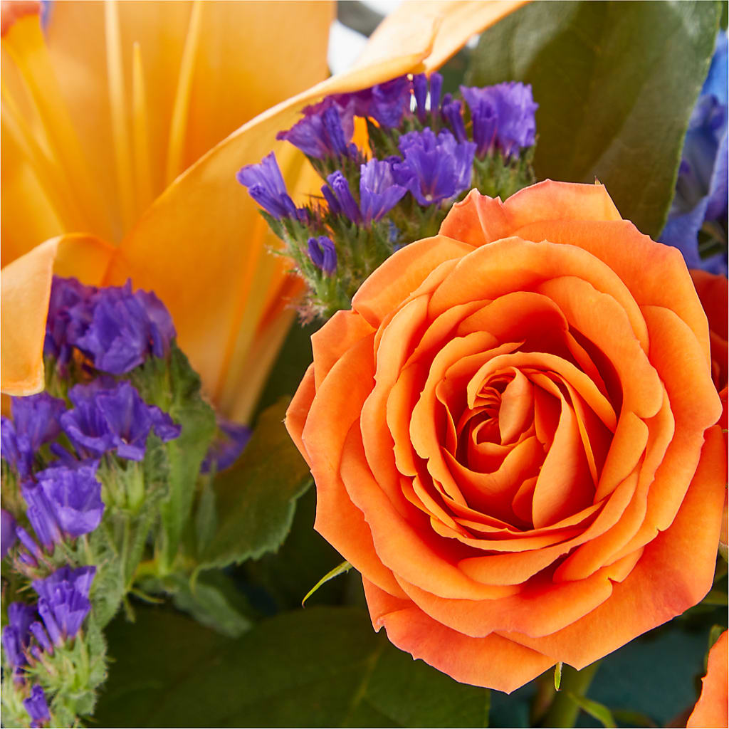 Radiant Citrus Box Bouquet –  Waynesboro Emporium, Waynesboro GA