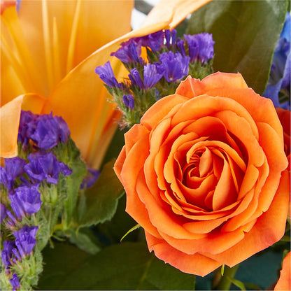 Radiant Citrus Box Bouquet –  Waynesboro Emporium, Waynesboro GA