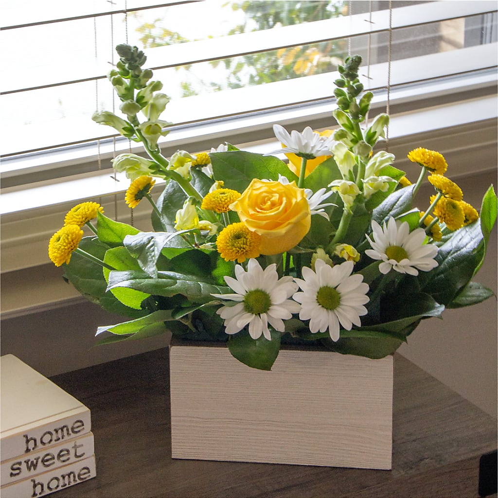 Sun Salutation Box Bouquet –  Waynesboro Emporium, Waynesboro GA