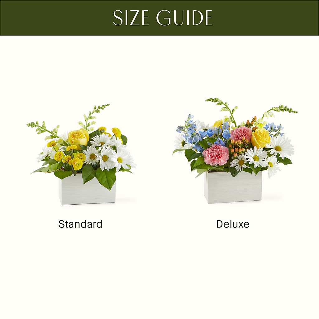 Sun Salutation Box Bouquet –  Waynesboro Emporium, Waynesboro GA