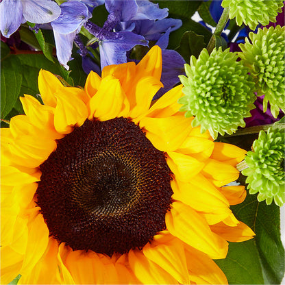 Catching Rays Bouquet –  Waynesboro Emporium, Waynesboro GA