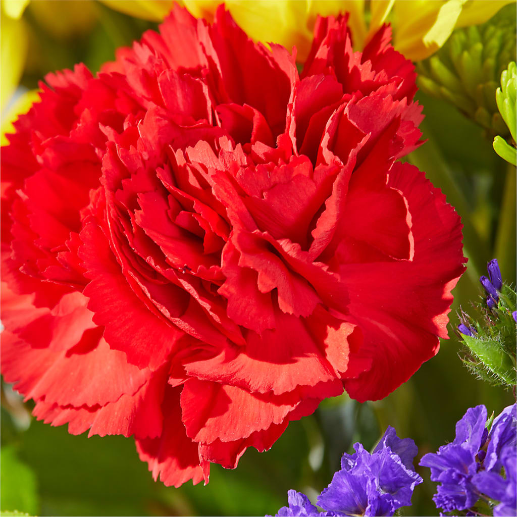 Brighter Days Bouquet –  Waynesboro Emporium, Waynesboro GA