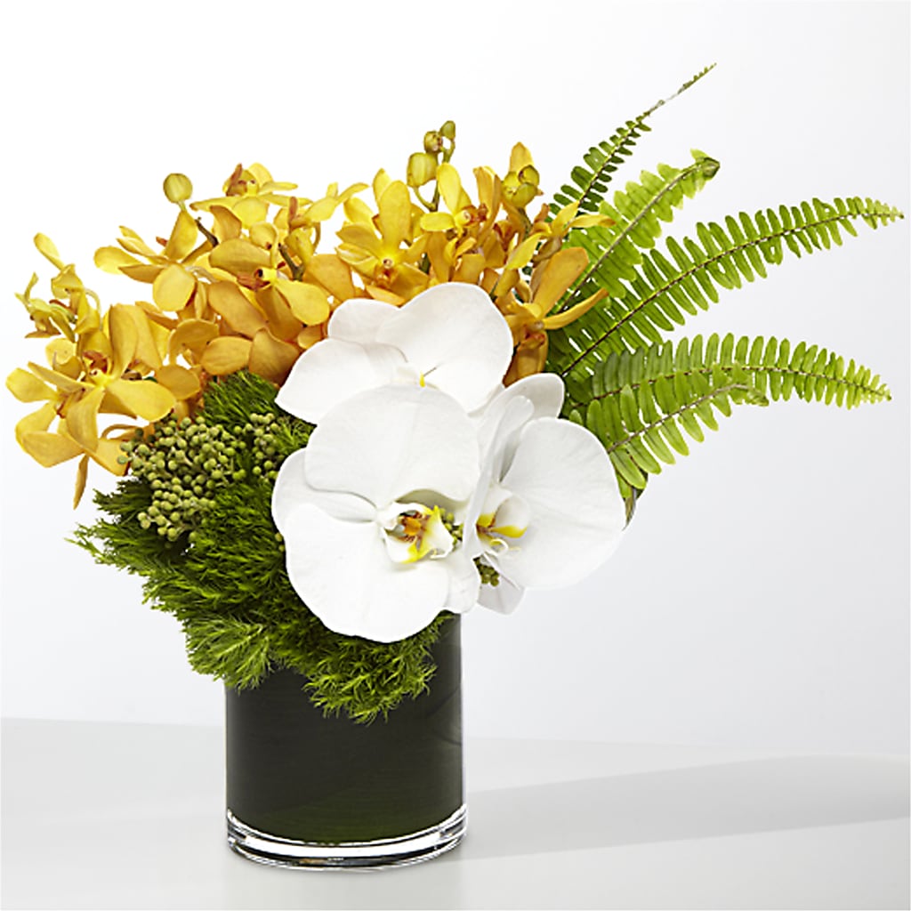 The Tropics –  Waynesboro Emporium, Waynesboro GA