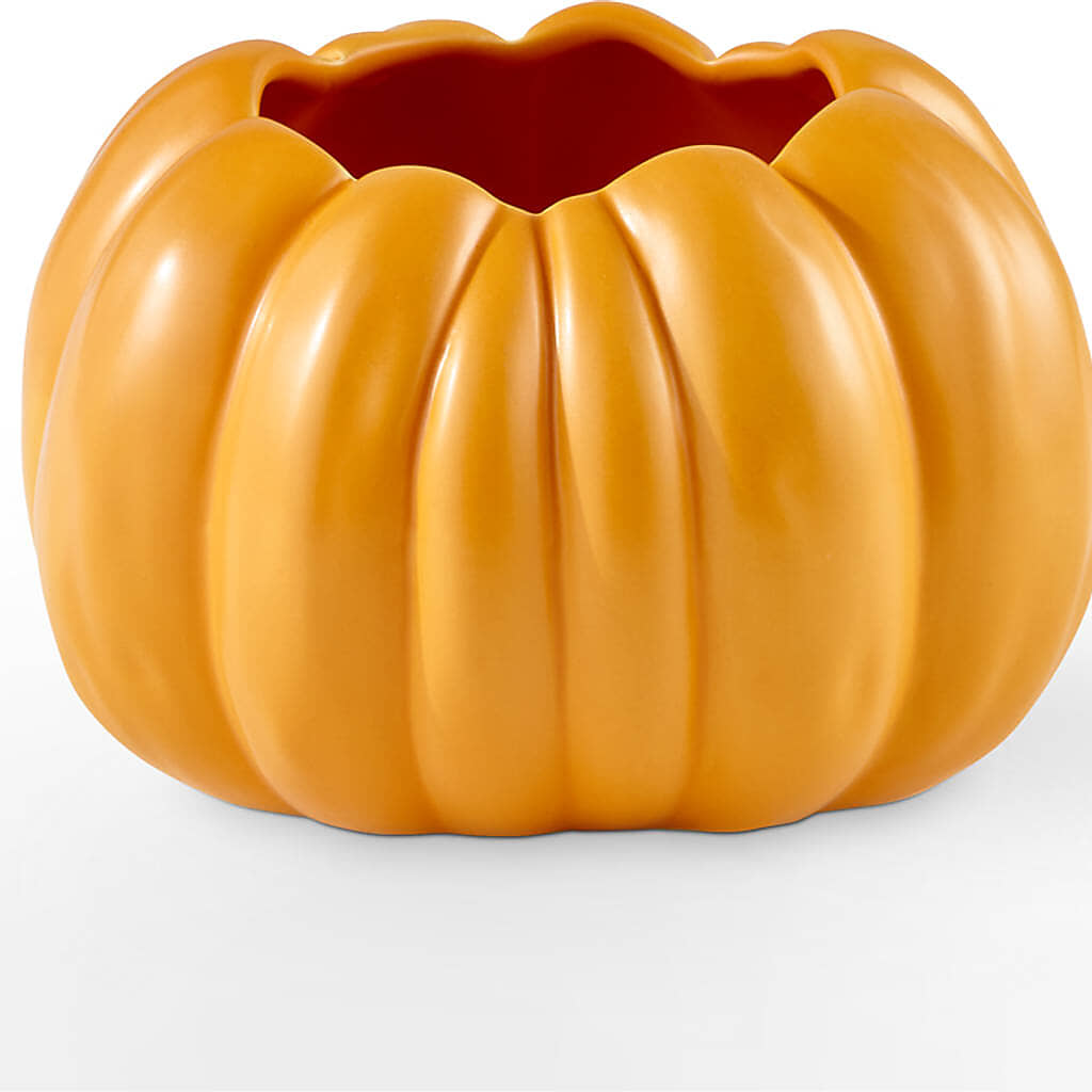Golden Gourd Pumpkin Bouquet –  Waynesboro Emporium, Waynesboro GA
