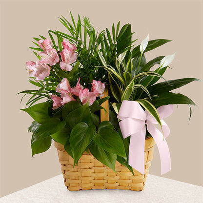 Living Spirit Dishgarden –  Waynesboro Emporium, Waynesboro GA