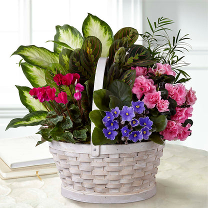 Peaceful Garden Planter –  Waynesboro Emporium, Waynesboro GA