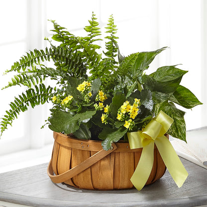 Always Dear Dishgarden –  Waynesboro Emporium, Waynesboro GA