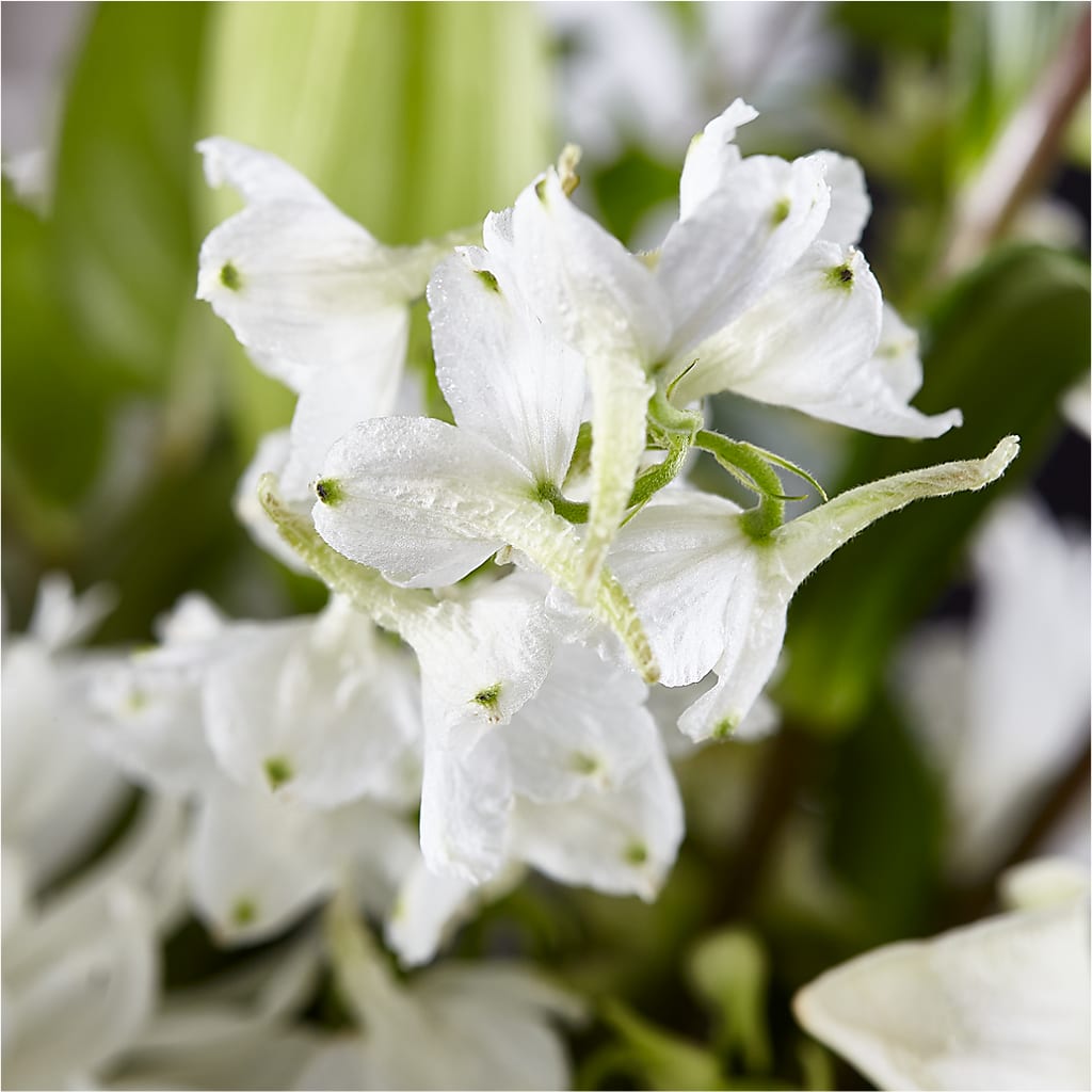 Classic Ivory – A Florist Original –  Waynesboro Emporium, Waynesboro GA