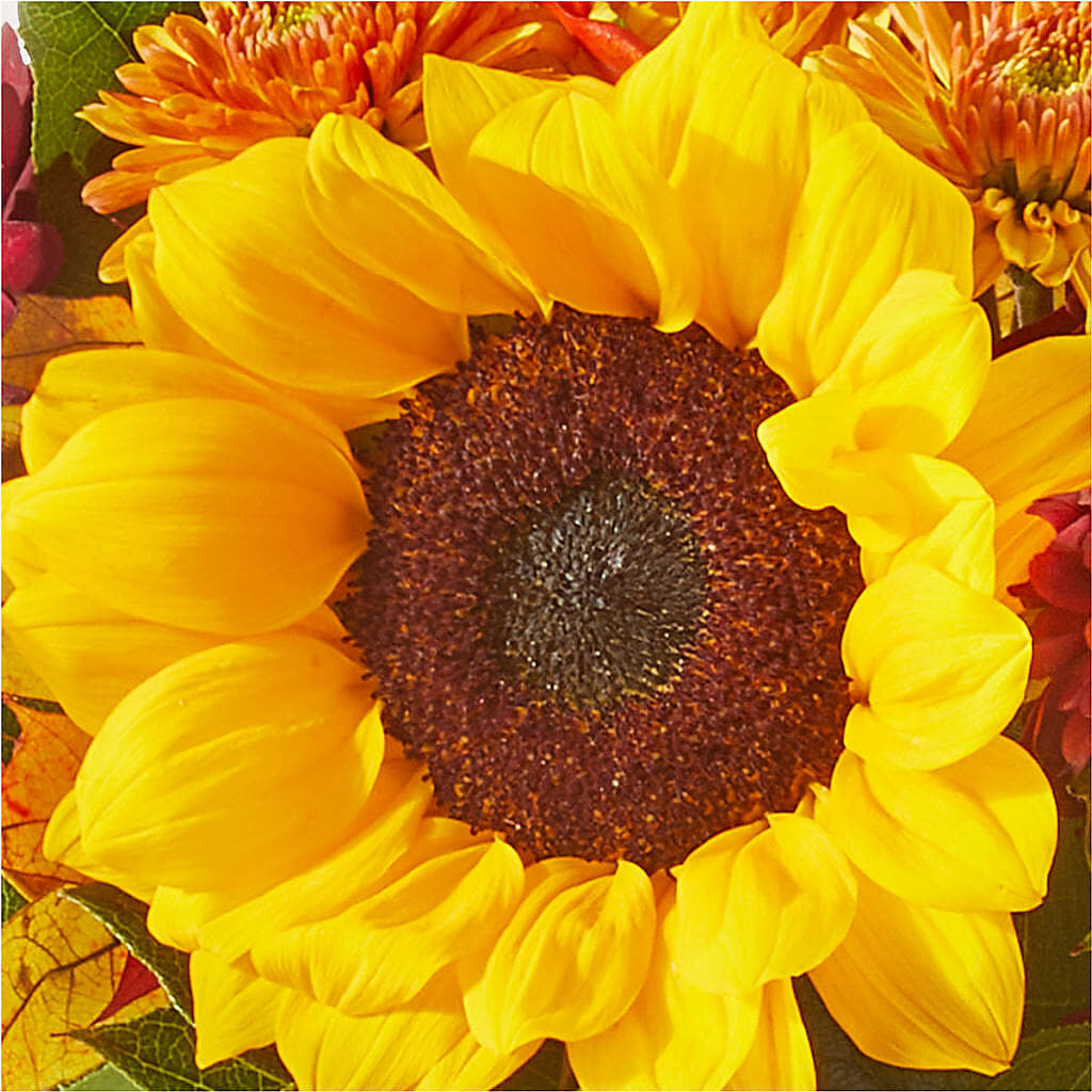 Sunny Side Bouquet –  Waynesboro Emporium, Waynesboro GA