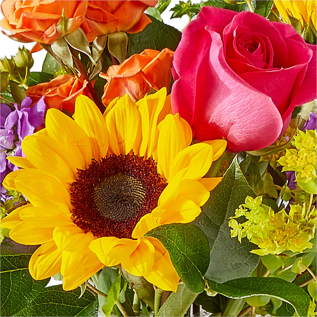 Vibrant Greetings Bouquet –  Waynesboro Emporium, Waynesboro GA