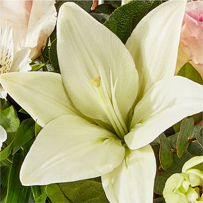 Ballet Slippers Bouquet –  Waynesboro Emporium, Waynesboro GA