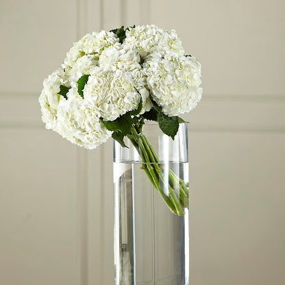 White Hydrangea Hand-Tied Bouquet –  Waynesboro Emporium, Waynesboro GA